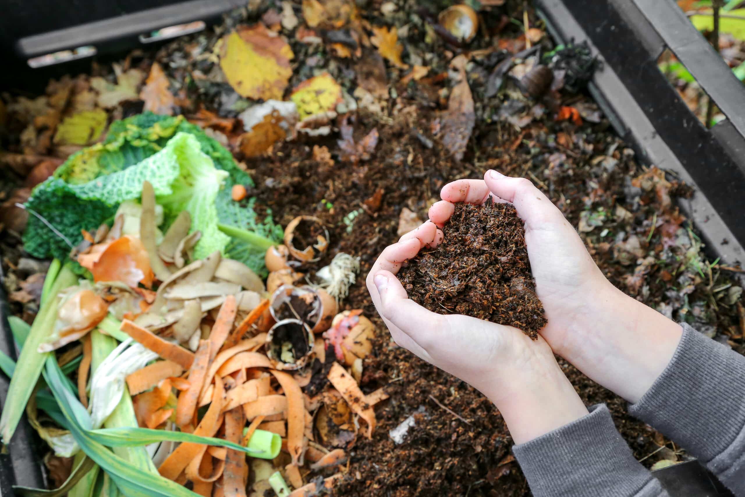 compost-sance